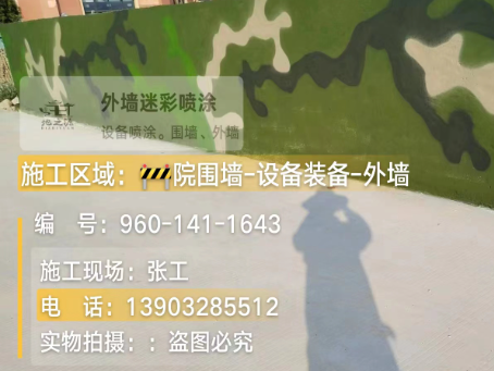 黄南 迷彩漆喷涂价格（按平方米计费）