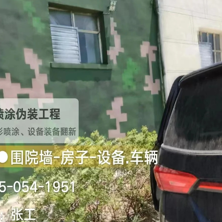 黄南数码迷彩漆施工